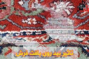 فرش کاشان قالی کاشان بید زدگی فرش - مهم ترنی نکات نگهداری فرش